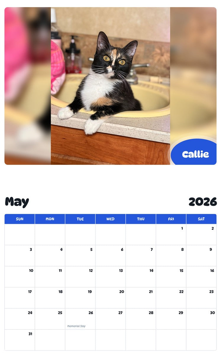 2026 - 2027 Callie - Pawidols Pet Calendar
