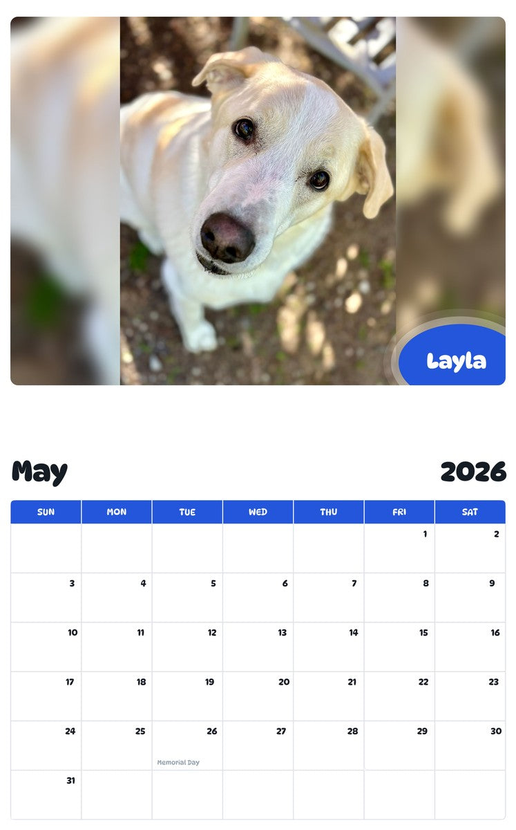 2026 - 2027 Layla - Pawidols Pet Calendar