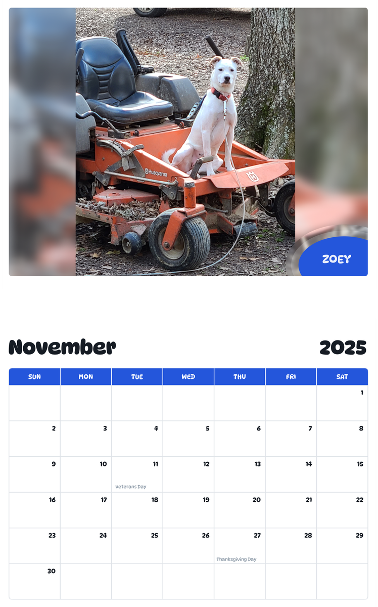 July 2025 - June 2026 Zoey - Pawidols Pet Calendar