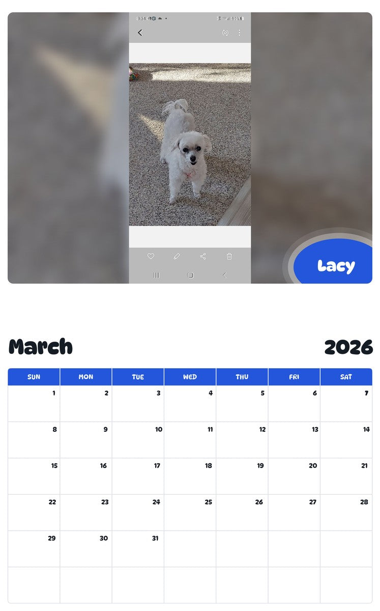 November 2025 - October 2026 Lacy - Pawidols Pet Calendar
