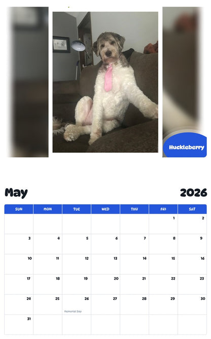 2026 - 2027 Huckleberry - Pawidols Pet Calendar