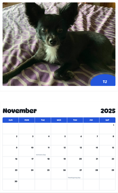 July 2025 - June 2026 TJ - Pawidols Pet Calendar