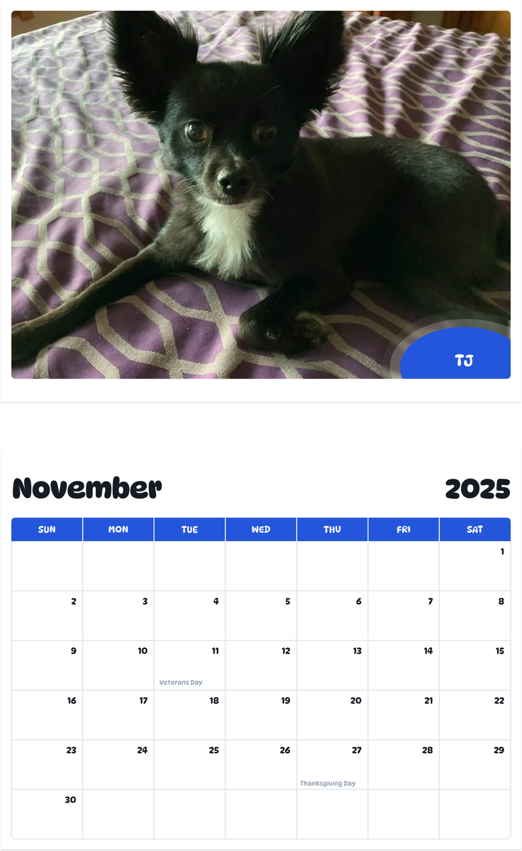 July 2025 - June 2026 TJ - Pawidols Pet Calendar