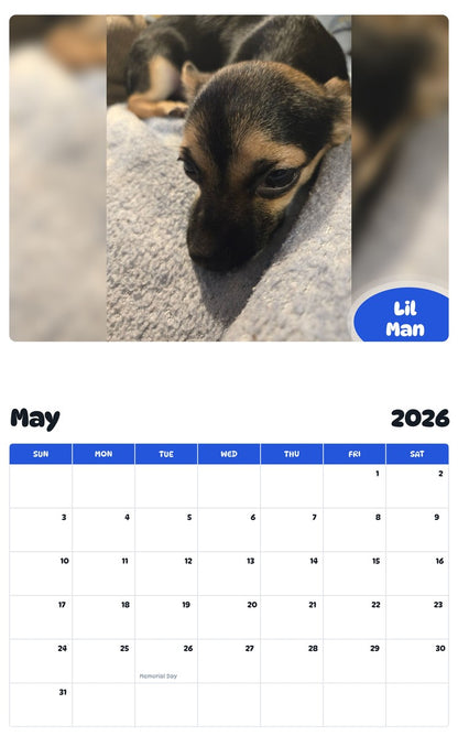 2026 - 2027 Lil Man - Pawidols Pet Calendar