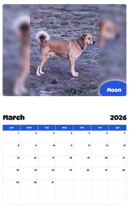 November 2025 - October 2026 Moon - Pawidols Pet Calendar