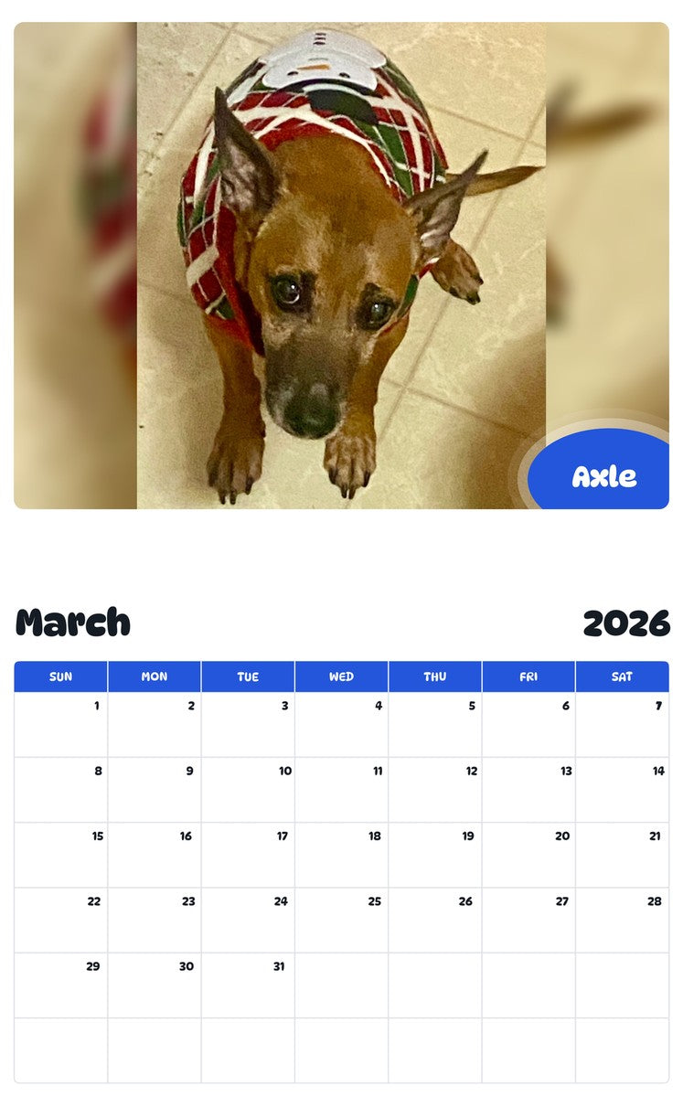 November 2025 - October 2026 Axle - Pawidols Pet Calendar