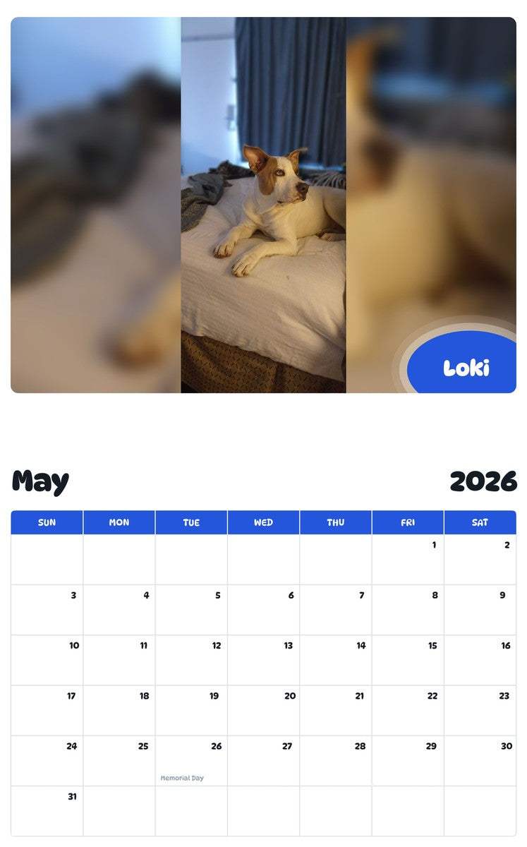 2026 - 2027 Loki - Pawidols Pet Calendar