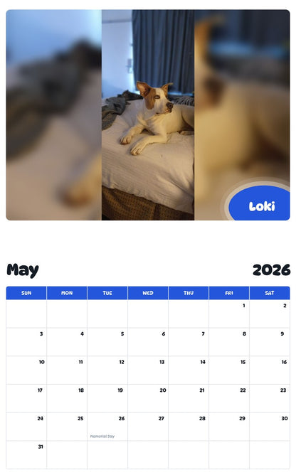 2026 - 2027 Loki - Pawidols Pet Calendar