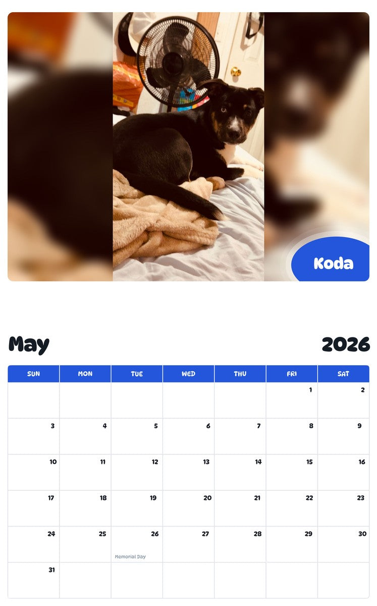 2026 - 2027 Koda - Pawidols Pet Calendar