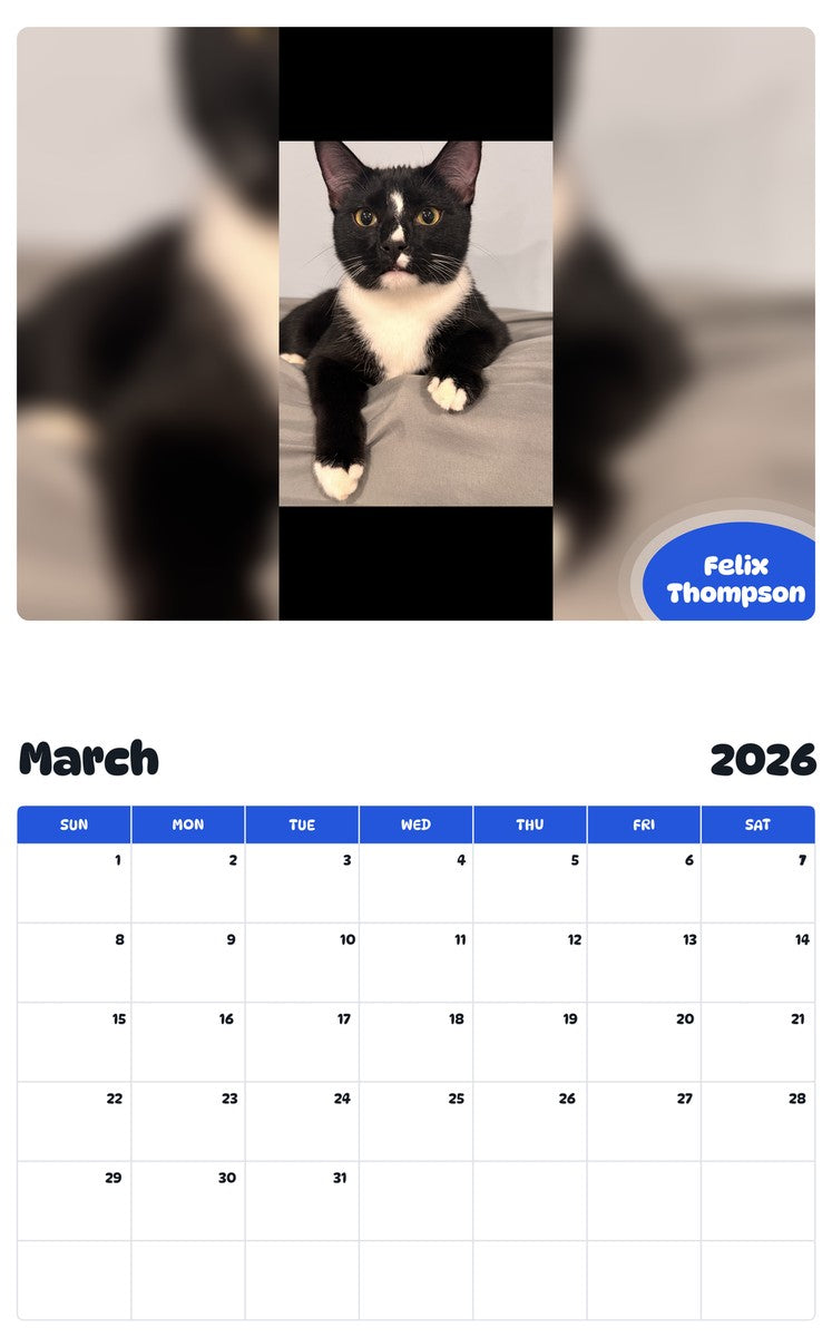 November 2025 - October 2026 Felix Thompson - Pawidols Pet Calendar
