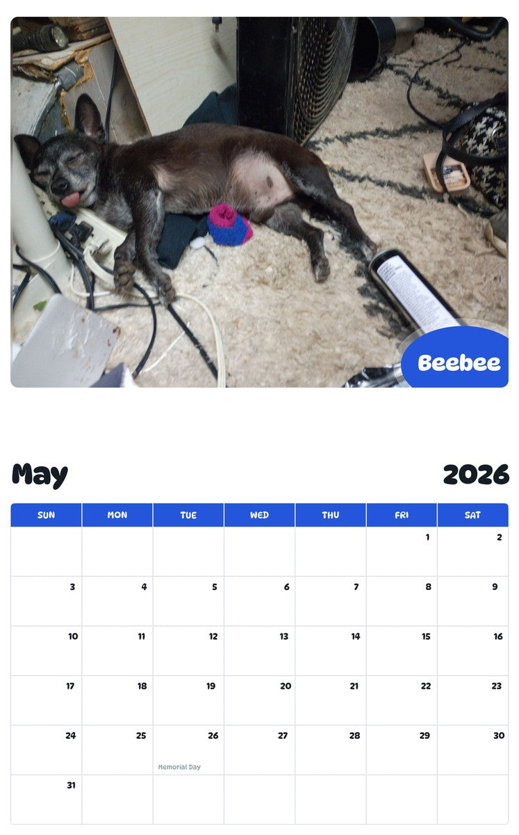 2026 - 2027 Beebee - Pawidols Pet Calendar