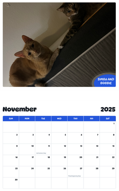 July 2025 - June 2026 Simba and Bobbie - Pawidols Pet Calendar