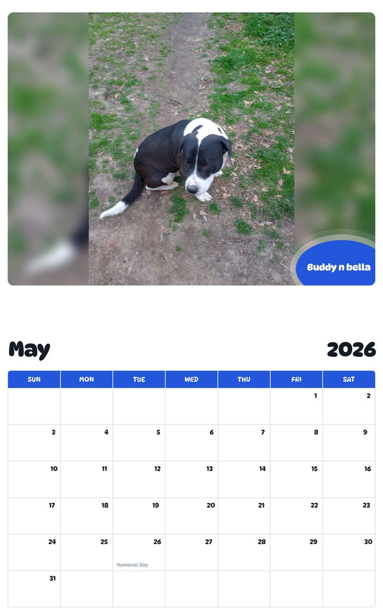 2026 - 2027 Buddy n bella - Pawidols Pet Calendar