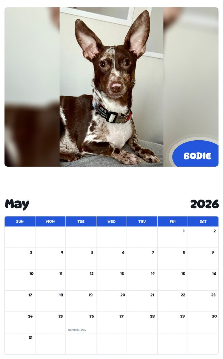 2026 - 2027 BODIE - Pawidols Pet Calendar