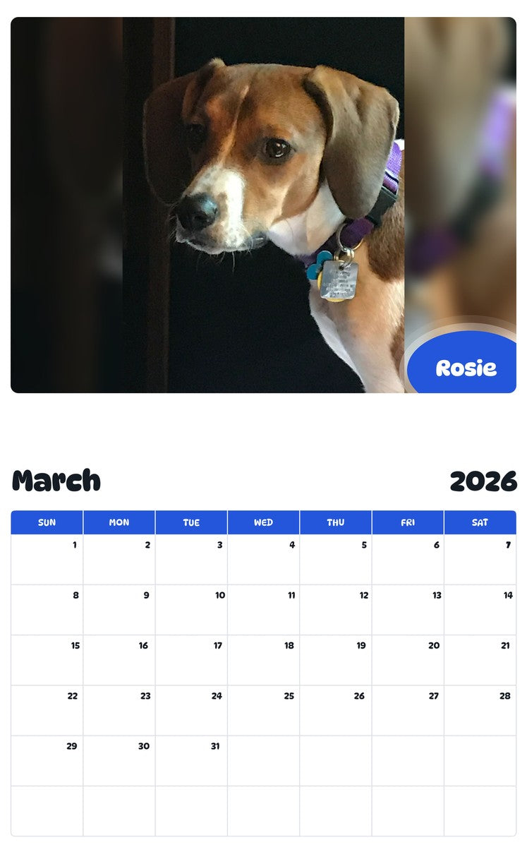 November 2025 - October 2026 Rosie - Pawidols Pet Calendar