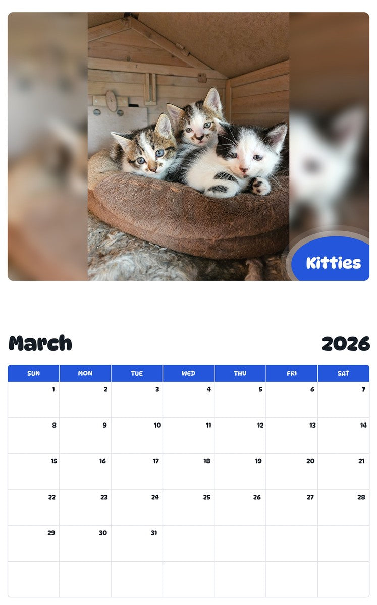 November 2025 - October 2026 Kitties - Pawidols Pet Calendar