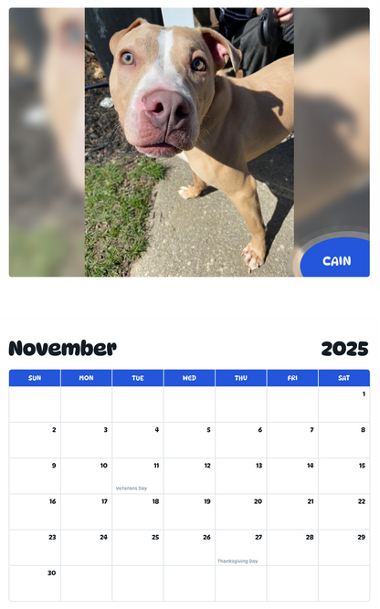 July 2025 - June 2026 Cain - Pawidols Pet Calendar