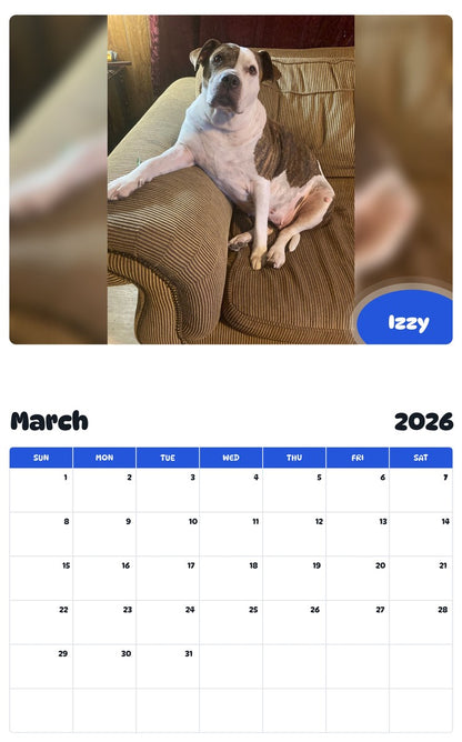 November 2025 - October 2026 Izzy - Pawidols Pet Calendar