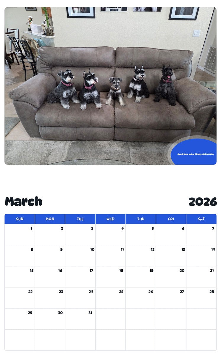 November 2025 - October 2026 Cyndi Lou, LuLu, Abbey, Bella & Gia - Pawidols Pet Calendar