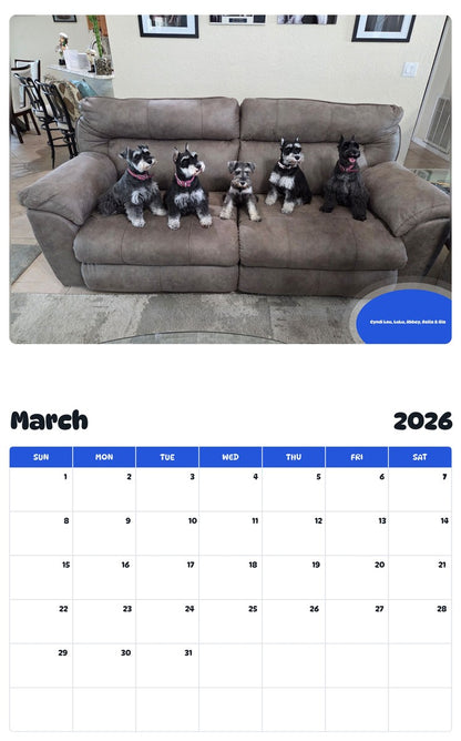 November 2025 - October 2026 Cyndi Lou, LuLu, Abbey, Bella & Gia - Pawidols Pet Calendar