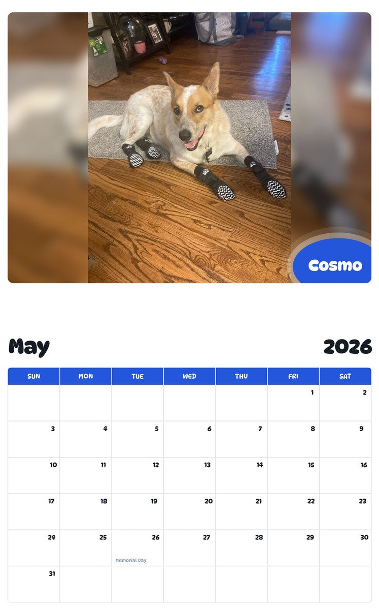 2026 - 2027 Cosmo - Pawidols Pet Calendar