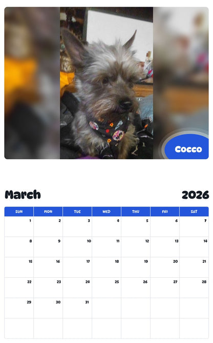 November 2025 - October 2026 Cocco - Pawidols Pet Calendar