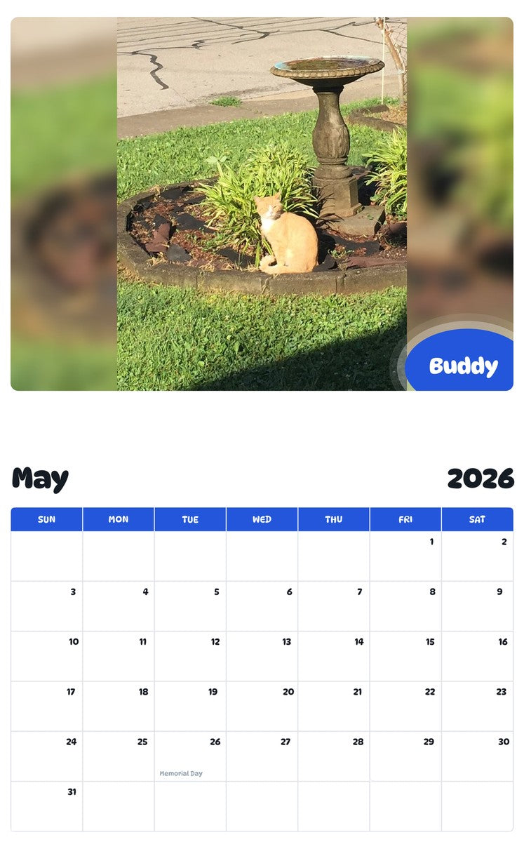 2026 - 2027 Buddy - Pawidols Pet Calendar