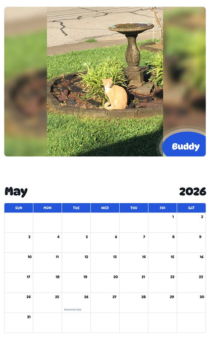 2026 - 2027 Buddy - Pawidols Pet Calendar