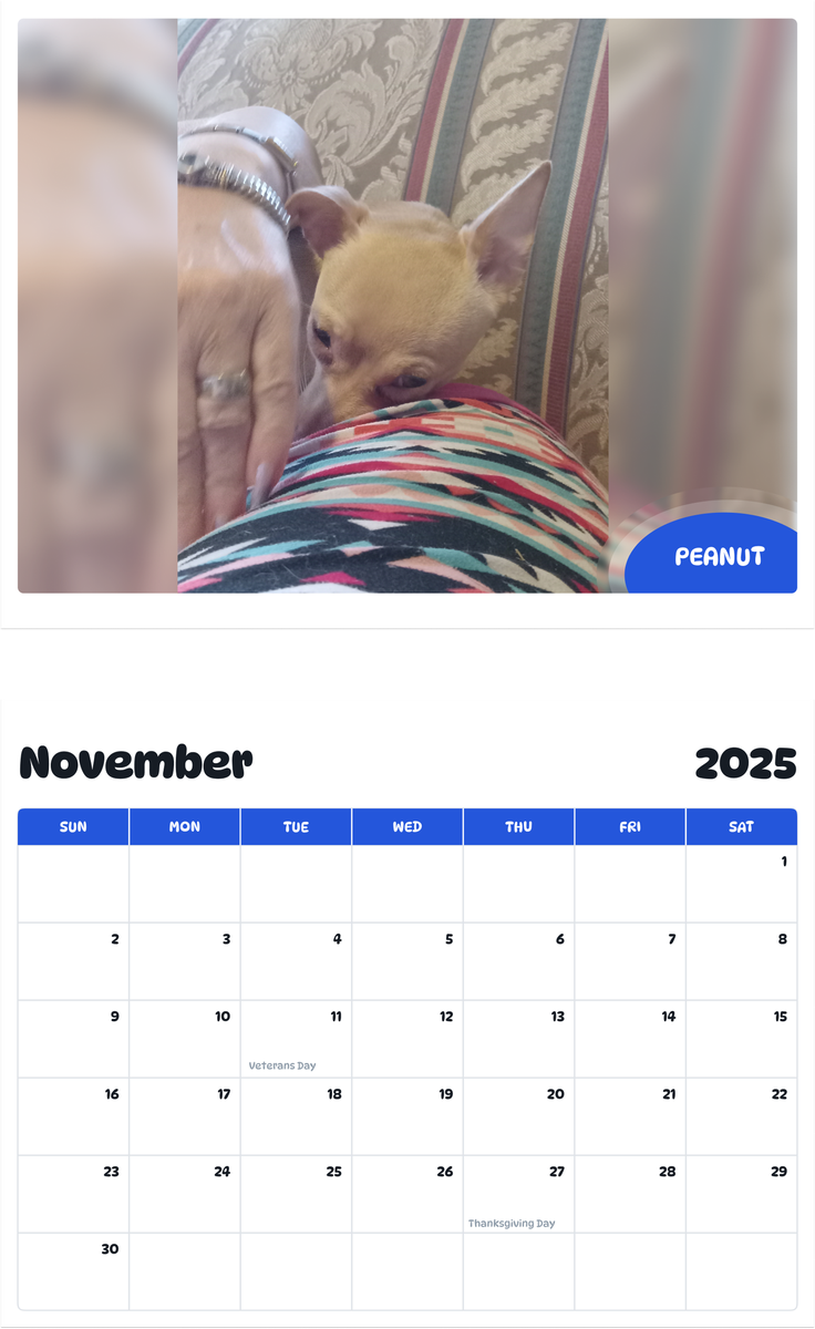 July 2025 - June 2026 Peanut - Pawidols Pet Calendar