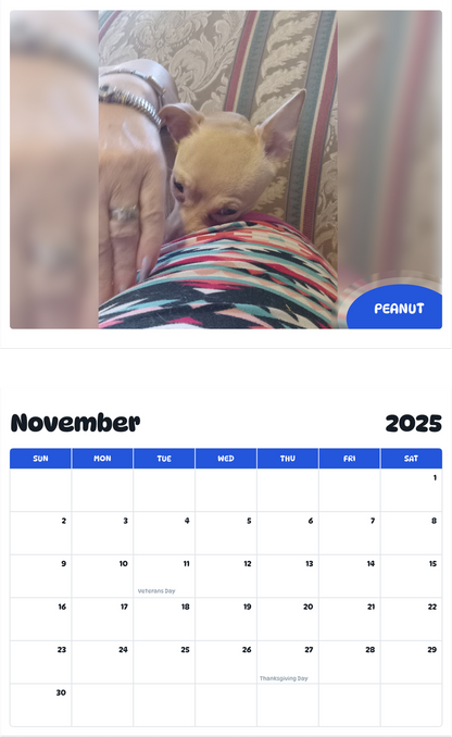 July 2025 - June 2026 Peanut - Pawidols Pet Calendar