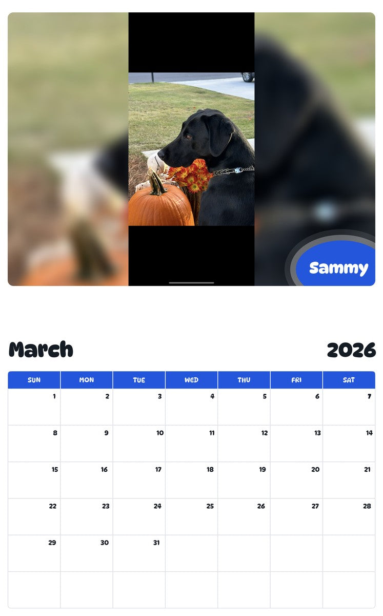 November 2025 - October 2026 Sammy - Pawidols Pet Calendar