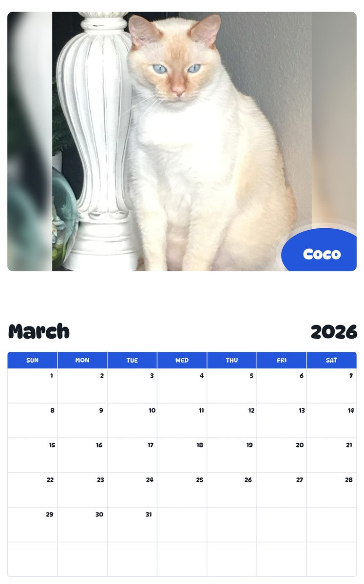 November 2025 - October 2026 Coco - Pawidols Pet Calendar