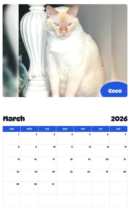November 2025 - October 2026 Coco - Pawidols Pet Calendar