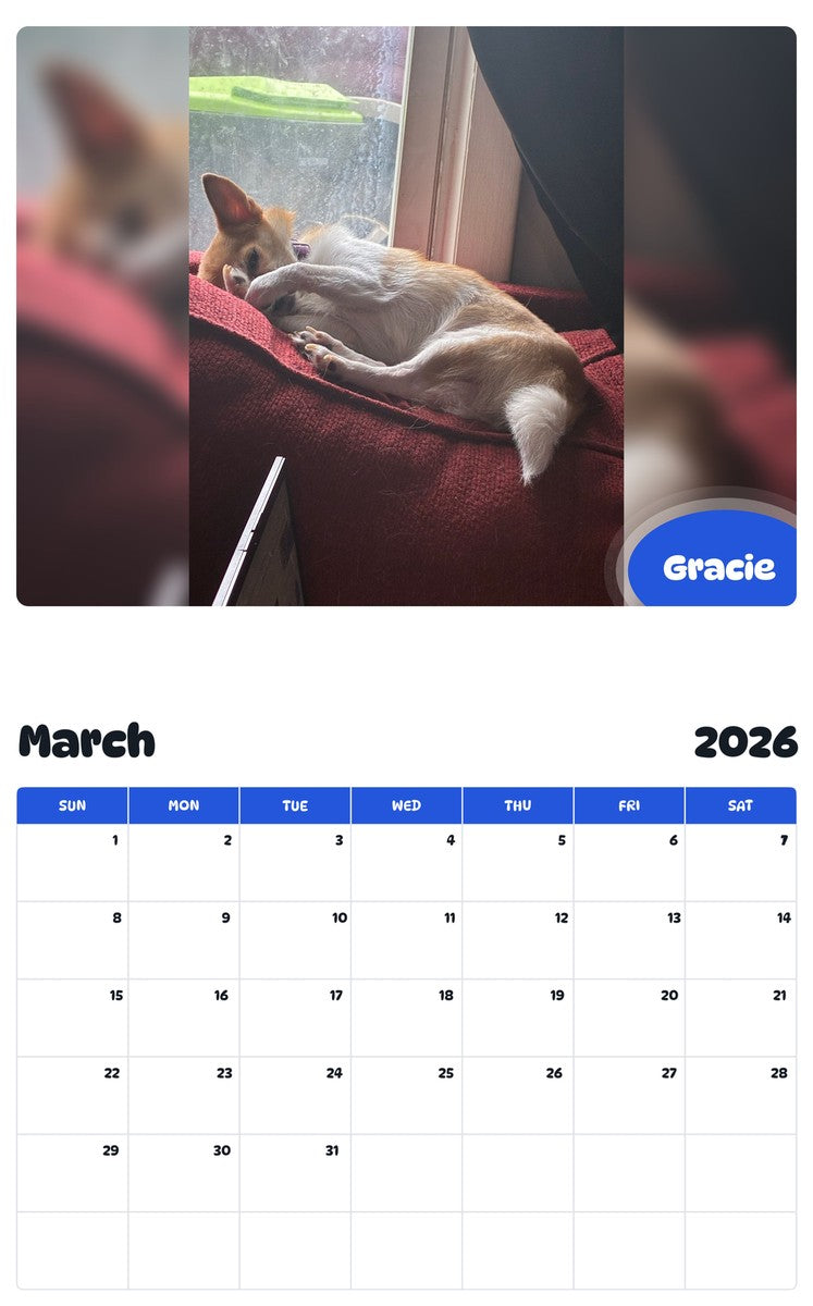 November 2025 - October 2026 Gracie - Pawidols Pet Calendar