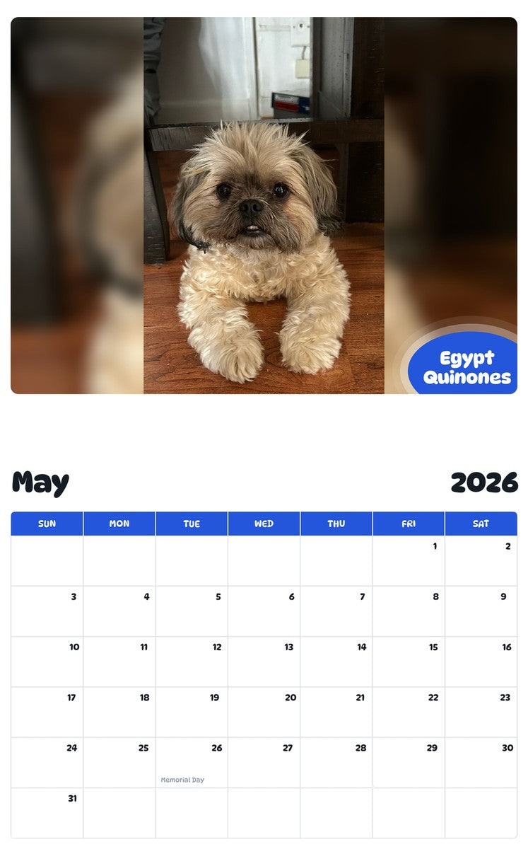 2026 - 2027 Egypt Quinones - Pawidols Pet Calendar
