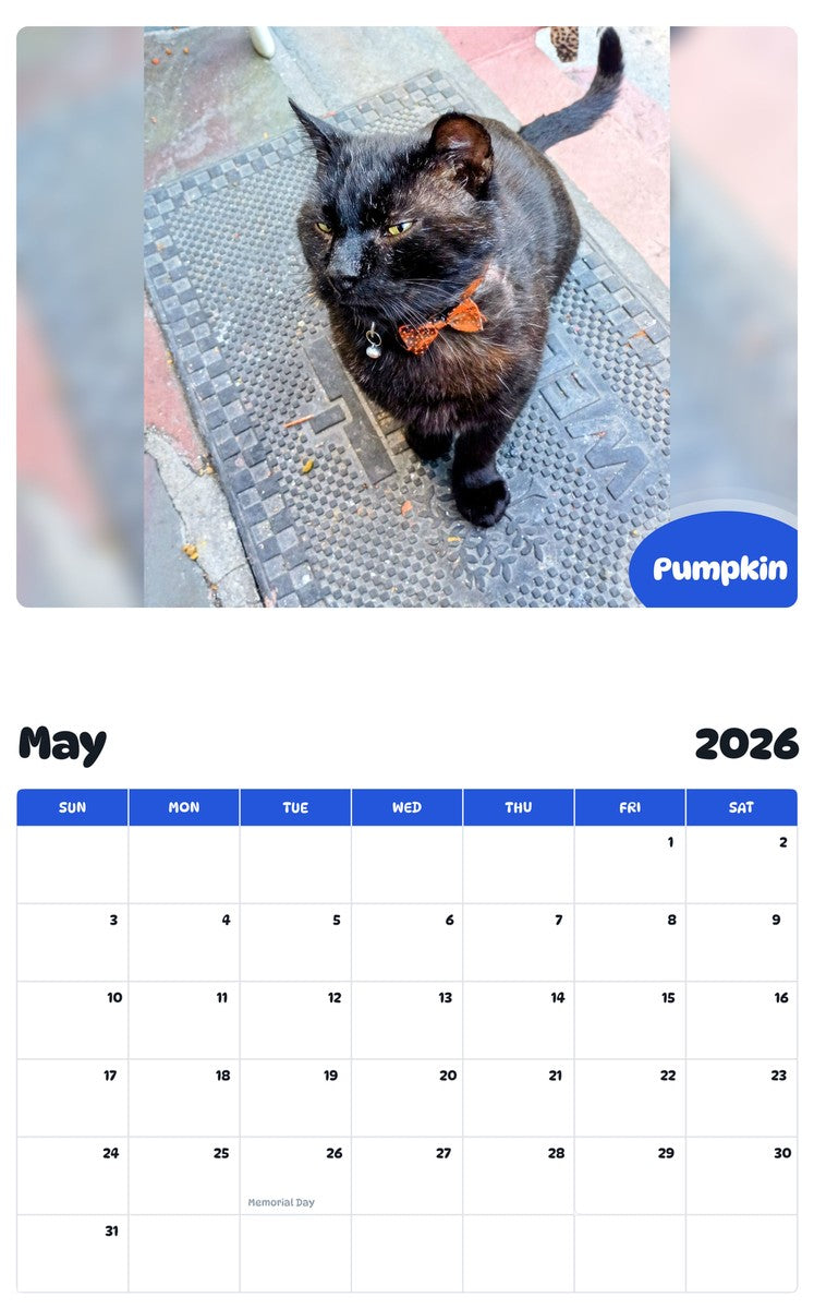 2026 - 2027 Pumpkin - Pawidols Pet Calendar