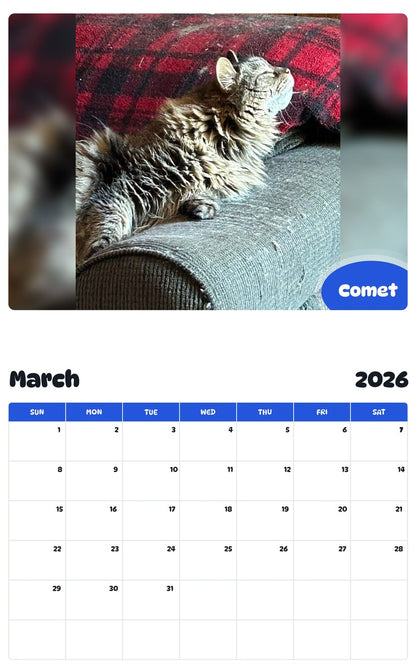 November 2025 - October 2026 Comet - Pawidols Pet Calendar