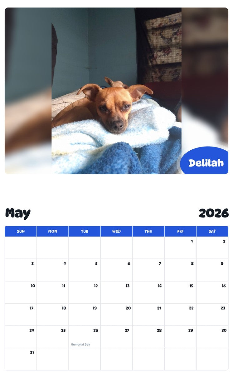 2026 - 2027 Delilah - Pawidols Pet Calendar