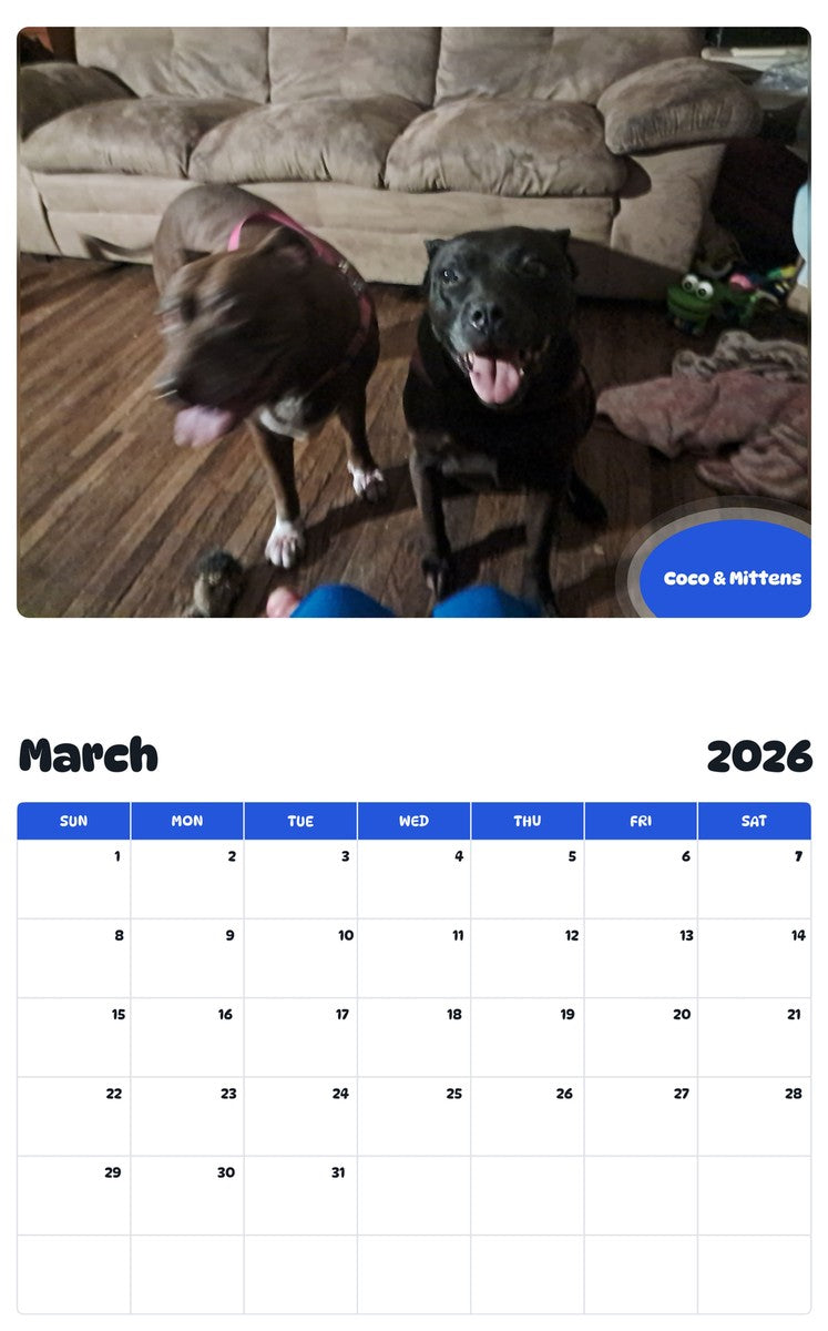 November 2025 - October 2026 Coco & Mittens - Pawidols Pet Calendar