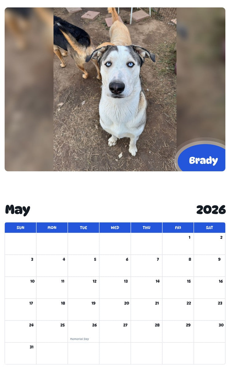2026 - 2027 Brady - Pawidols Pet Calendar