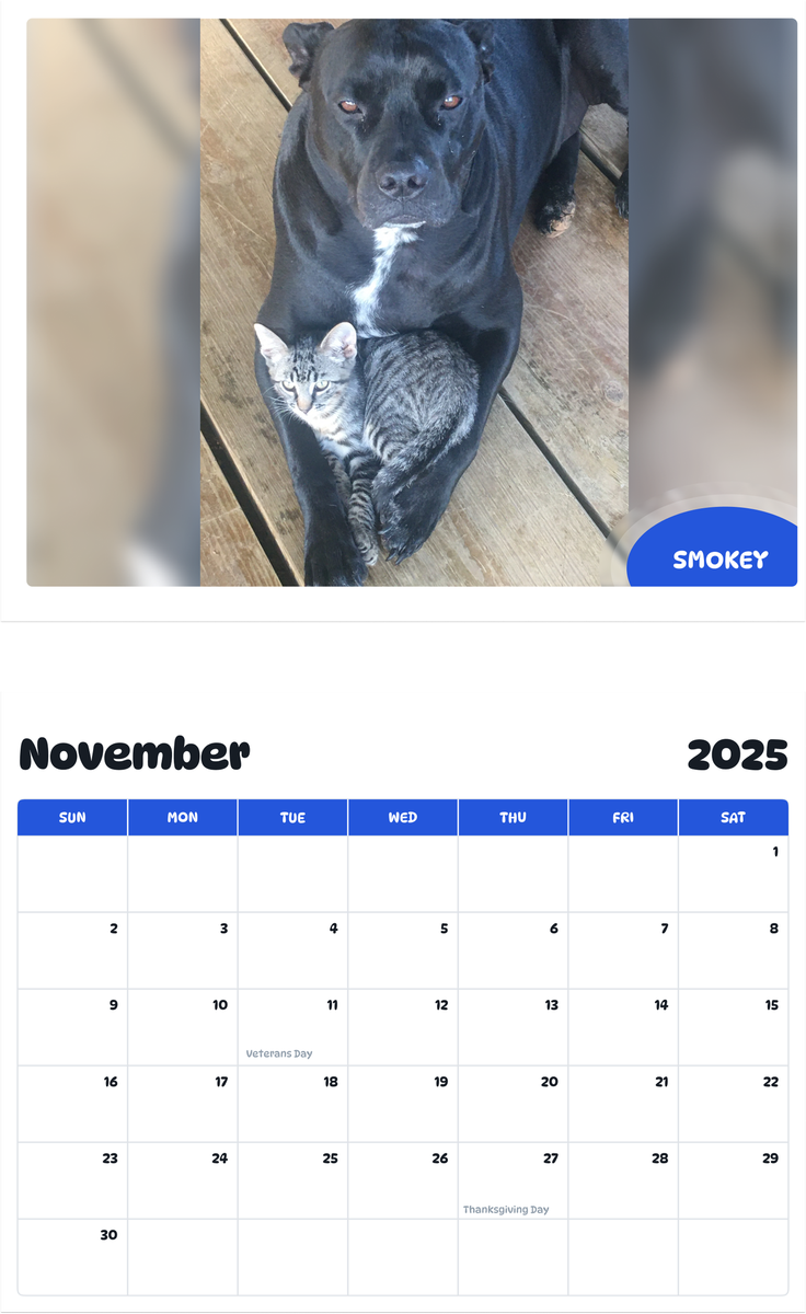July 2025 - June 2026 Smokey - Pawidols Pet Calendar
