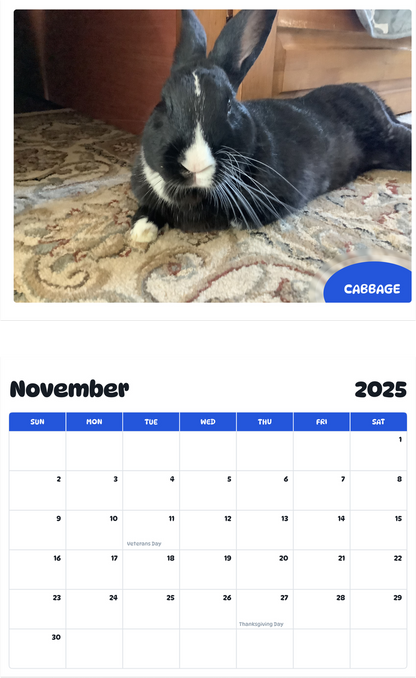July 2025 - June 2026 Cabbage - Pawidols Pet Calendar