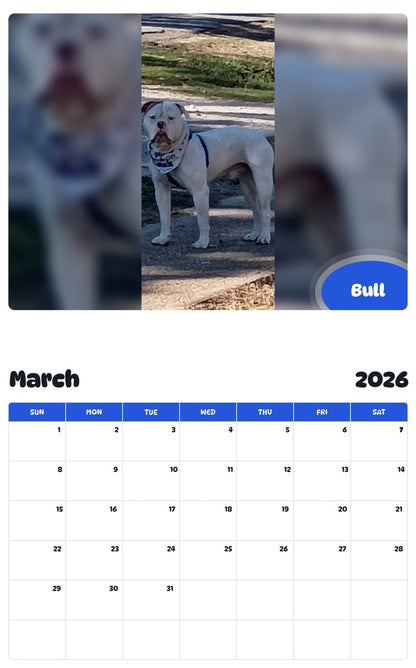 November 2025 - October 2026 Bull - Pawidols Pet Calendar