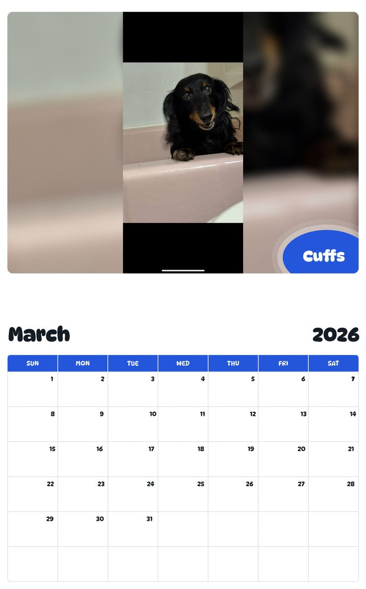 November 2025 - October 2026 Cuffs - Pawidols Pet Calendar