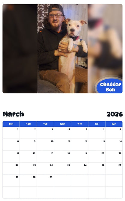 November 2025 - October 2026 Cheddar Bob - Pawidols Pet Calendar