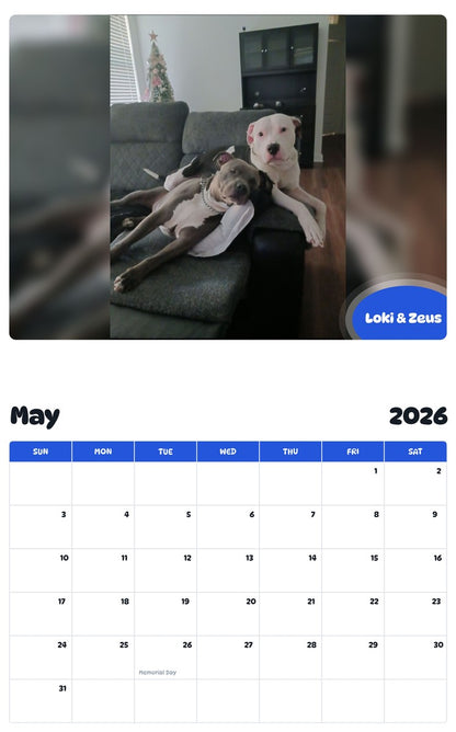 2026 - 2027 Loki & Zeus - Pawidols Pet Calendar