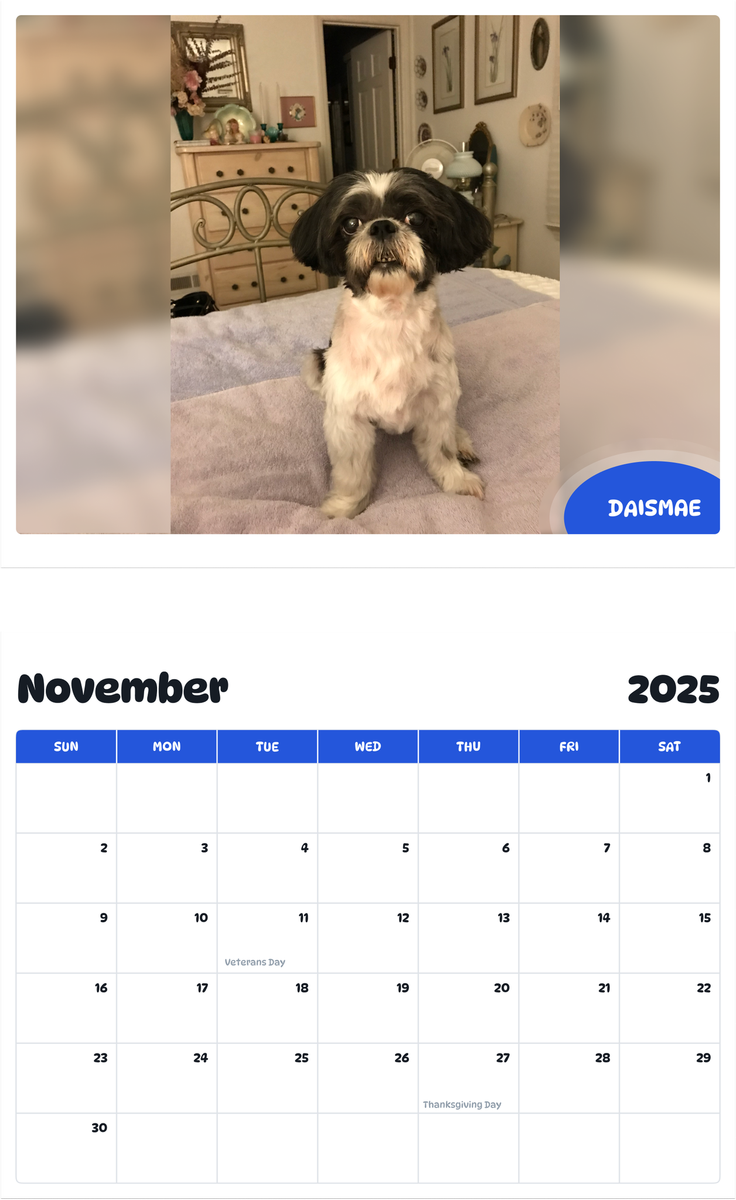 July 2025 - June 2026 Daismae - Pawidols Pet Calendar