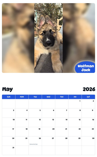 2026 - 2027 Wolfman Jack - Pawidols Pet Calendar