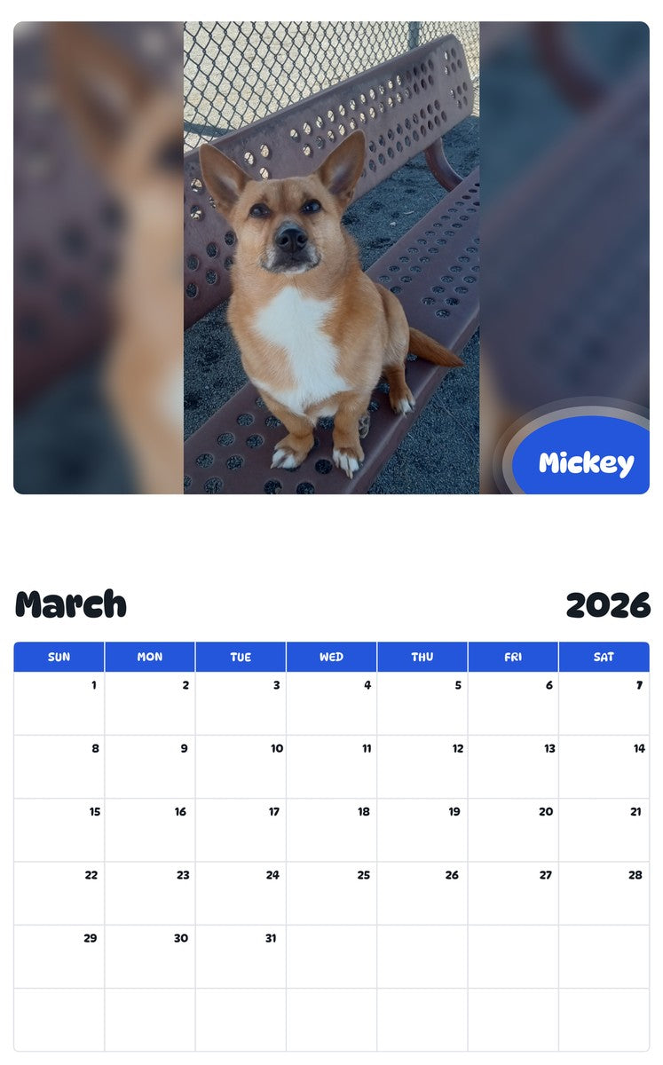 November 2025 - October 2026 Mickey - Pawidols Pet Calendar