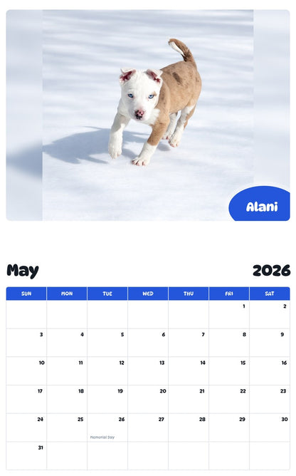 2026 - 2027 Alani - Pawidols Pet Calendar